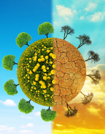 Climate and Resilence